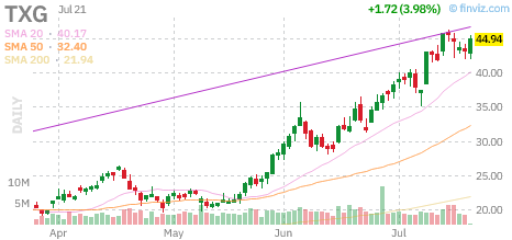 TXG chart